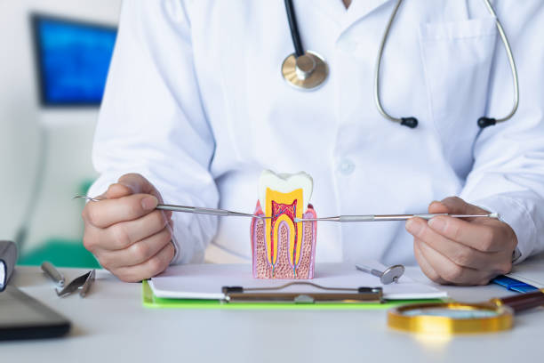 Best Emergency Orthodontic Repairs in Murray, KY